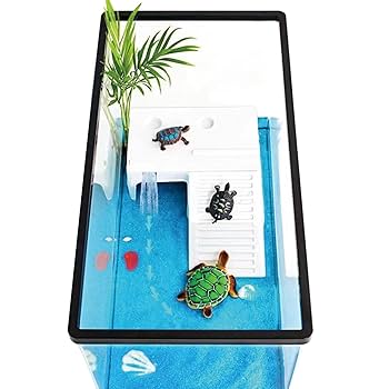 Amazon | 亀 水槽 大きい タートルタンク カメ用水槽 アクリル